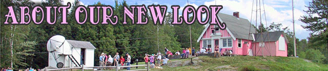 About Our New Look header