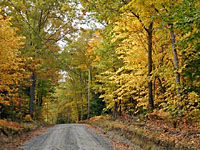 Jordan Road Autumn Color