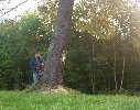 Pole Barn work ... Sepetmber 2003