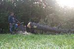 Pole Barn work ... Sepetmber 2003