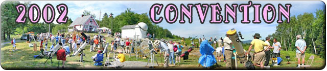 2002 Convention Page Header