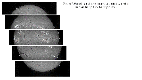 Jim Daley FeX Corora Imaging