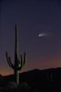 "Dusk Sentinel", Comet Hale-Bopp
