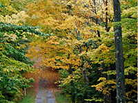 Clubhouse Road Autumn Color