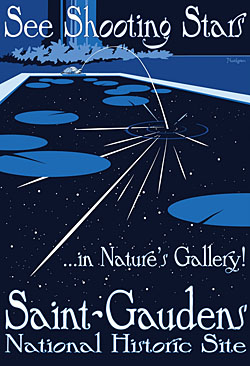 Star Party Poster