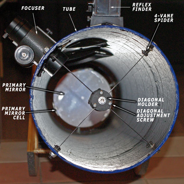 Anatomy of a Newtonain - Front